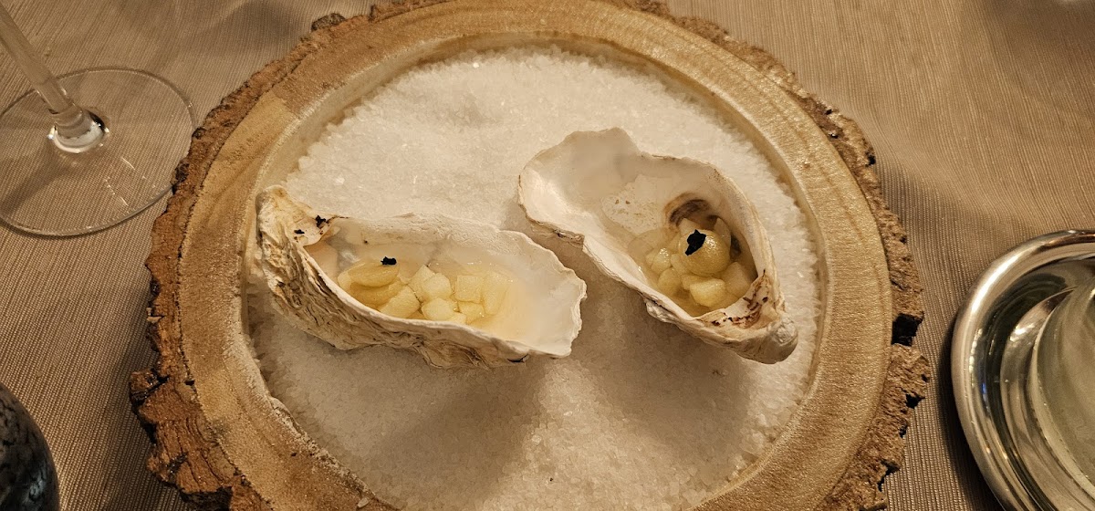 Le Sanglier Paresseux-10