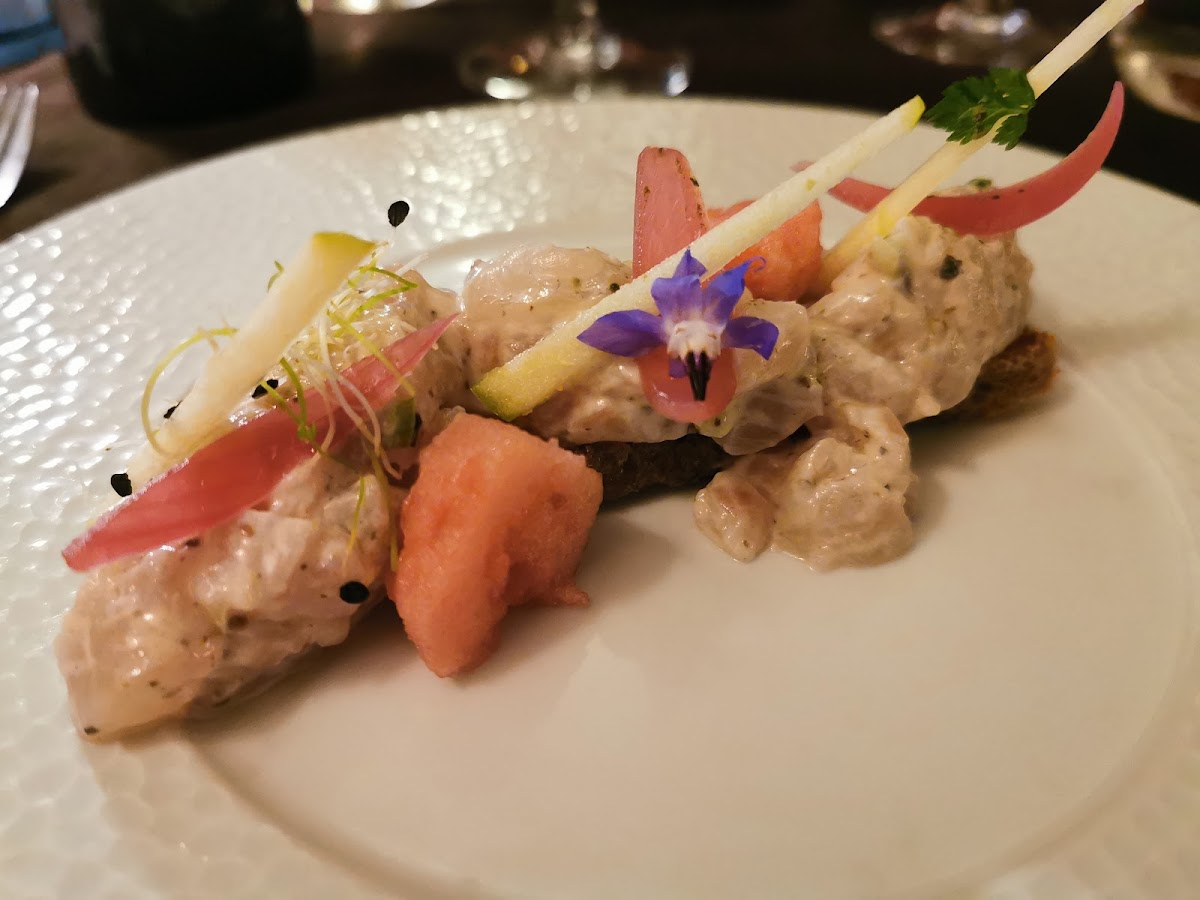 Le Sanglier Paresseux-7